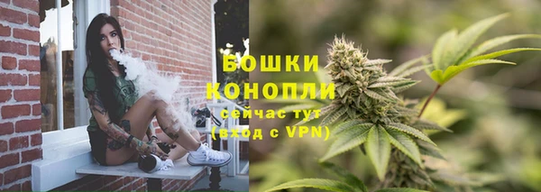ПСИЛОЦИБИНОВЫЕ ГРИБЫ Дмитровск