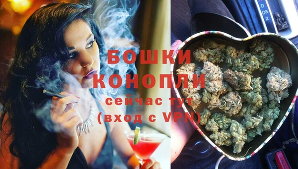 бутират Туринск
