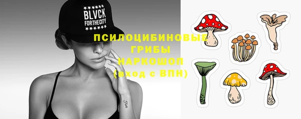 ПСИЛОЦИБИНОВЫЕ ГРИБЫ Дмитровск