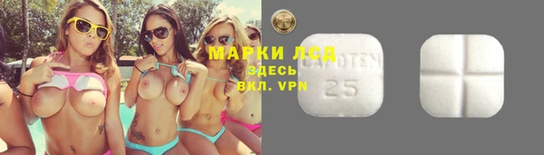 гидра Гусь-Хрустальный